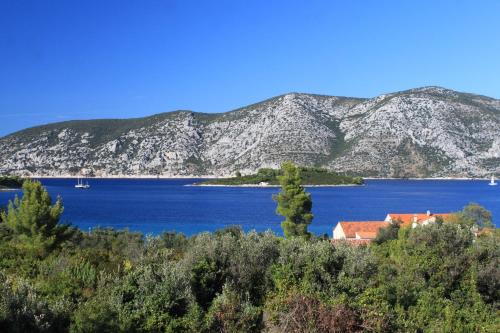 Seaside apartments with a swimming pool Kneza Korcula - 9269 - image 14