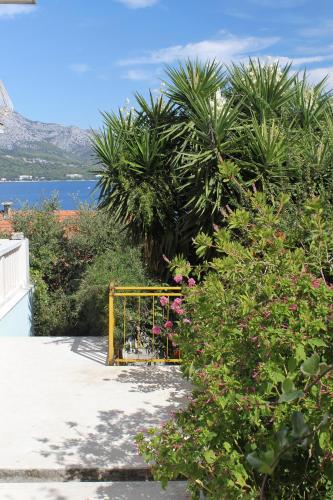 Apartments and rooms by the sea Korcula - 9267 - image 8