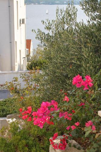 Apartments with WiFi Korcula - 9278 - image 8