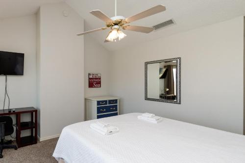 El Constante 226K by Padre Escapes - image 11