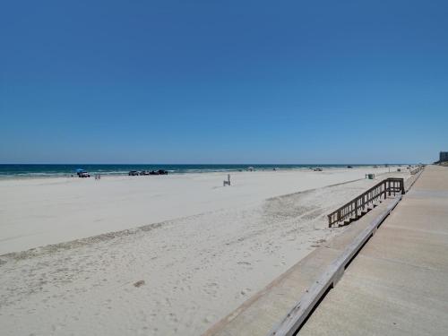 El Constante 223 by Padre Escapes - image 10