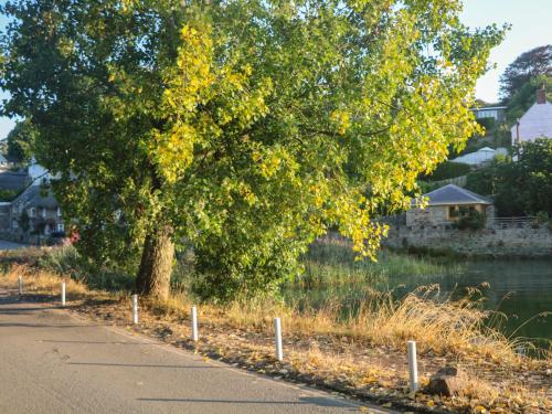 Anchor Cottage - image 14