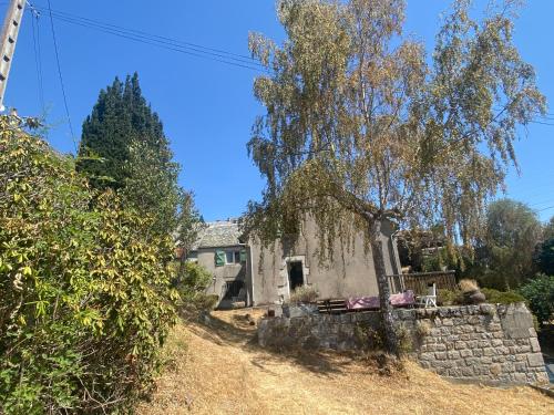 Maison de village avec terrasse et jardin Saint Urcize - Location saisonnière - Saint-Urcize