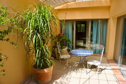 L'ATELIER - Piscine - Dans les vignes - Cassis L'ATELIER - Piscine - Dans les vignes - Cassis