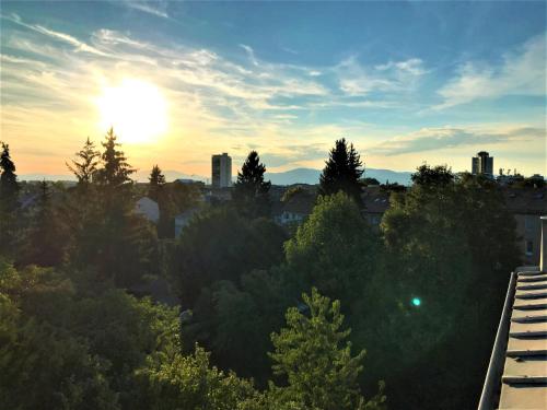 Calme Lumineux Spacieux Accueillant - Location saisonnière - Mulhouse