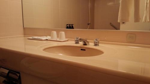 Chisun Hotel Kamata, Tokyo (foto 9)