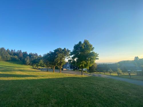 Berghotel Lenneplätze Winterberg