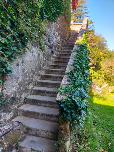 Quinta Das Murtas - image 7
