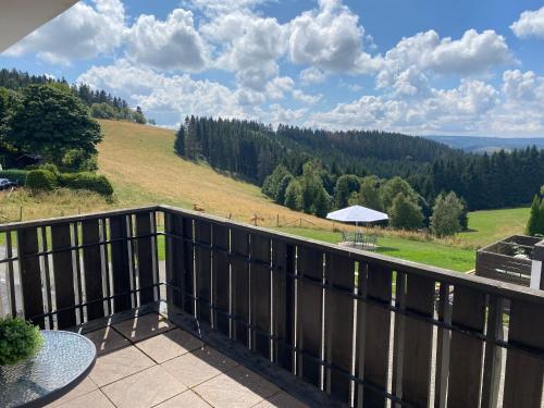 Utsikt, Berghotel Lenneplatze Winterberg in Winterberg