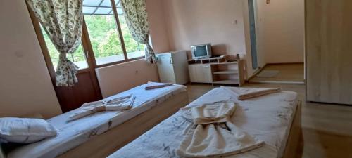 Guest House Proynovi