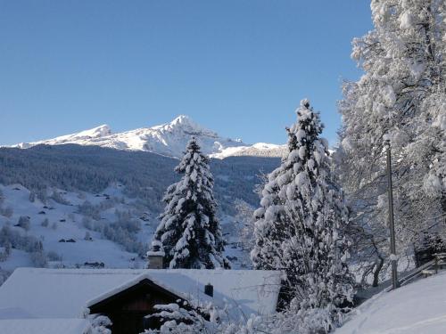 Locherboden - image 8