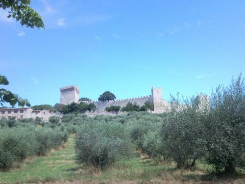 Hotel Trasimeno Bittarelli