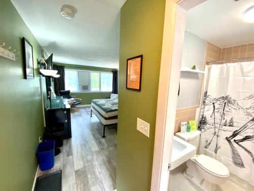 Snowdon Chalet Motel - 화장실