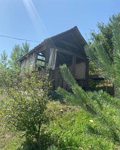 Hotel Nirvana, Dilidžan (fotografie 10)