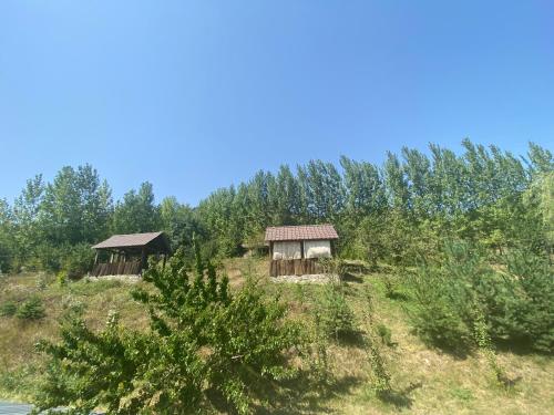 Hotel Nirvana, Dilidžan (fotografie 8)