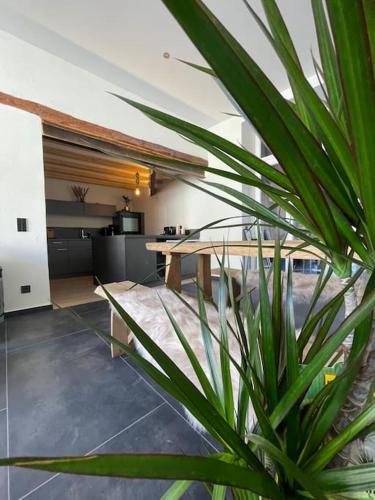 Mya Lenas Suite in Irrel