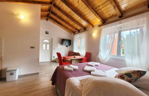 Villa POQUITO, heated pool - Zagvozd, Makarska region in Rašćane