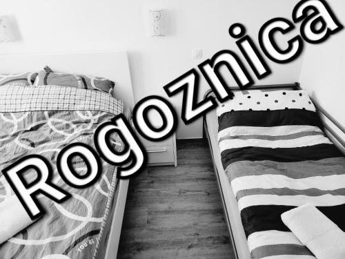 Apartament Maja, Rogoznica (photo 10)