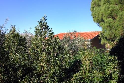 Apartments by the sea Arbanija Ciovo - 9423 - image 8