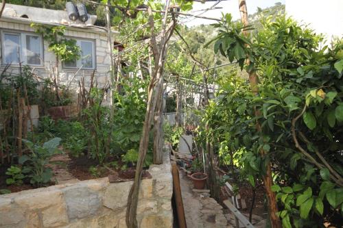 Seaside secluded apartments Cove Smokvina Hvar - 9501 - image 8