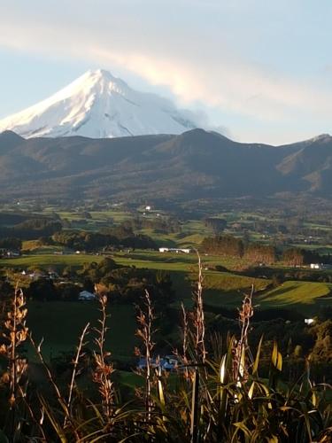 House on the Hill - Accommodation - New Plymouth