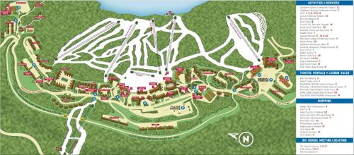 Stroll to Slopes Village Area Ski in-out MtLodge 304 - image 10