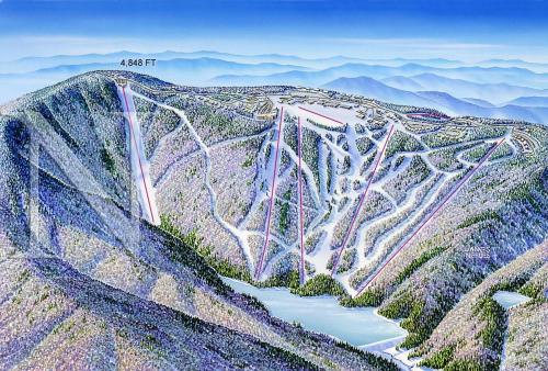 Stroll to Slopes Village Area Ski in-out MtLodge 304 - image 11