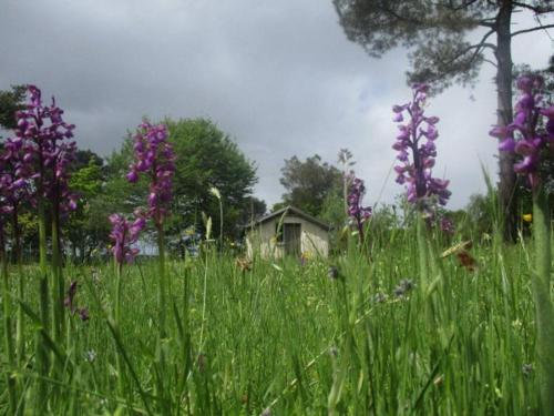 maisonnette écologique isolée en botte de paille