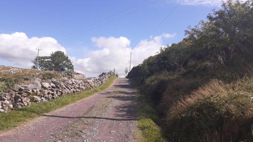 Cuckoo Tree House Glengarriff Beara Peninsula