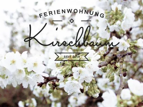 Ferienwohnung Kirschbaum in Rust, Deutschland