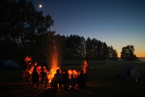 . Biebrza CAMP - pole namiotowe
