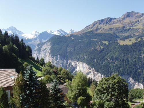 Chalet Eigersunne 2, Wengen (foto 5)
