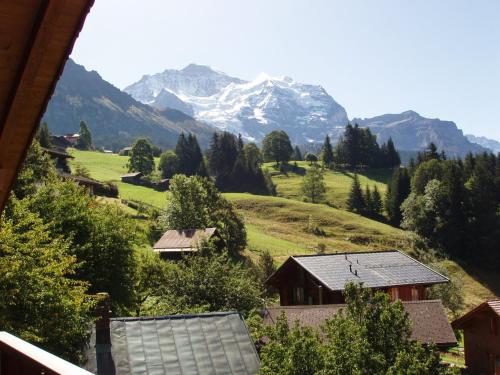 Chalet Eigersunne 2, Wengen (foto 9)