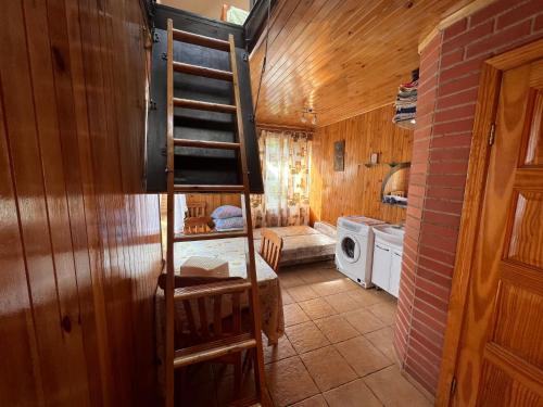 Ragaciems Guest house Beach 5 min Viesu māja pie jūras Апартаменты у моря (Ragaciems Guest house Beach 5 min Viesu maja pie juras Апартаменты у моря) in Ragaciems