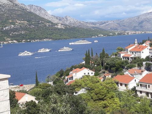 Apartments Alo Jozic in Korčula