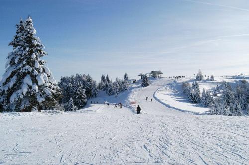Caminetto Mountain Resort - image 8