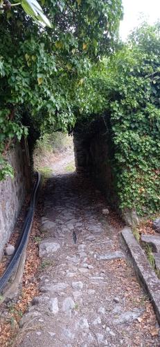 Agriturismo Vecchio Frantoio