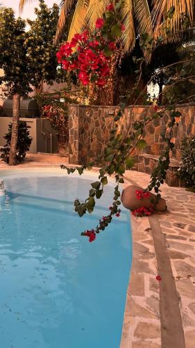 Villa Tourelle of Paradise with heated bigPrivate Pool May to Aug Villa Tourelle of Paradise with heated bigPrivate Pool May to Aug