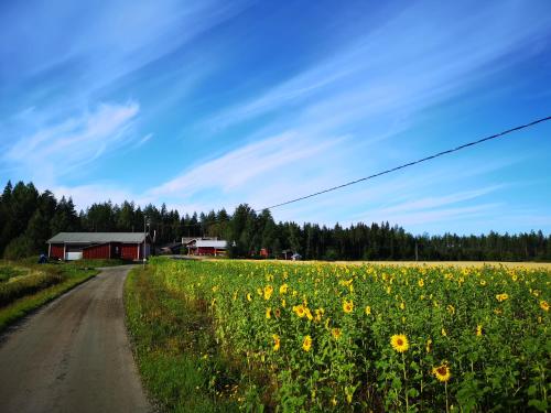 Maatilamatkailu Ilomäki - Hotel - Peräseinäjoki