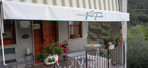 Agriturismo Vecchio Frantoio