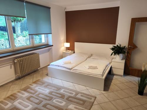 Vila Prag, Praha (fotografie 6)