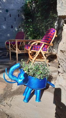 Aloepark Art Hotel in Naivasha