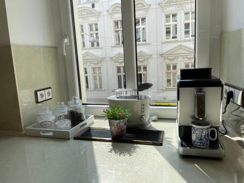 豪华怀旧公寓 豪华怀旧公寓