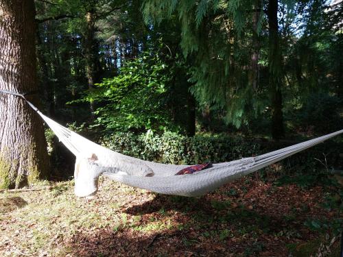 Dormir au bord de la Vézère - Location saisonnière - Treignac