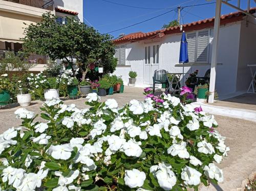 Mitikas Cosy Studio gîte à louer Mýtikas