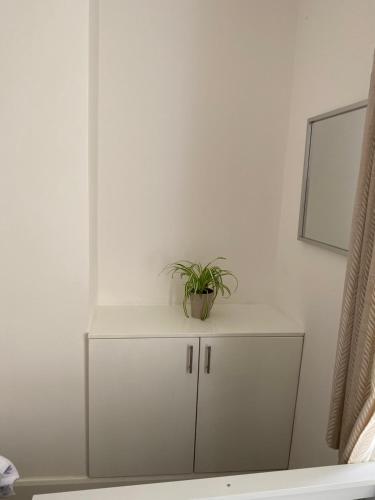 London Road Flats - Free WIFI, washing machine, smart TV, easy access to A50 London Road Flats - Free WIFI, washing machine, smart TV, easy access to A50