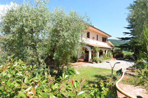 Accommodation in Nievole