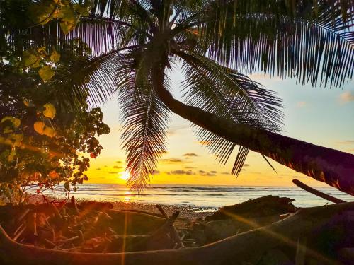 Alentours, Sukia Hostel in Drake Bay