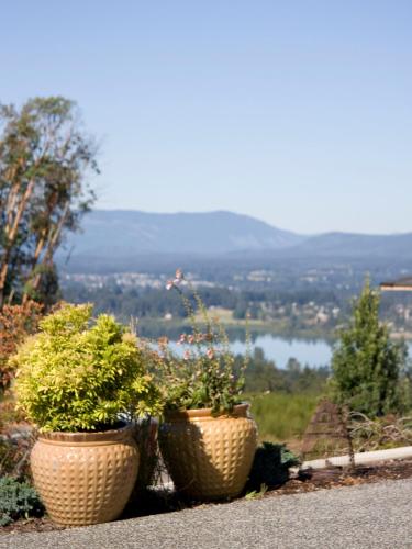 . M&M's Maple Bay Mountain Guesthouse