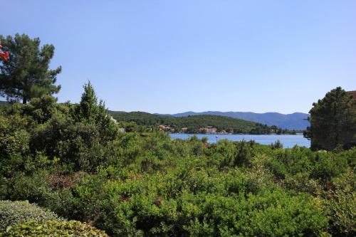 Apartments by the sea Loviste, Peljesac - 10197